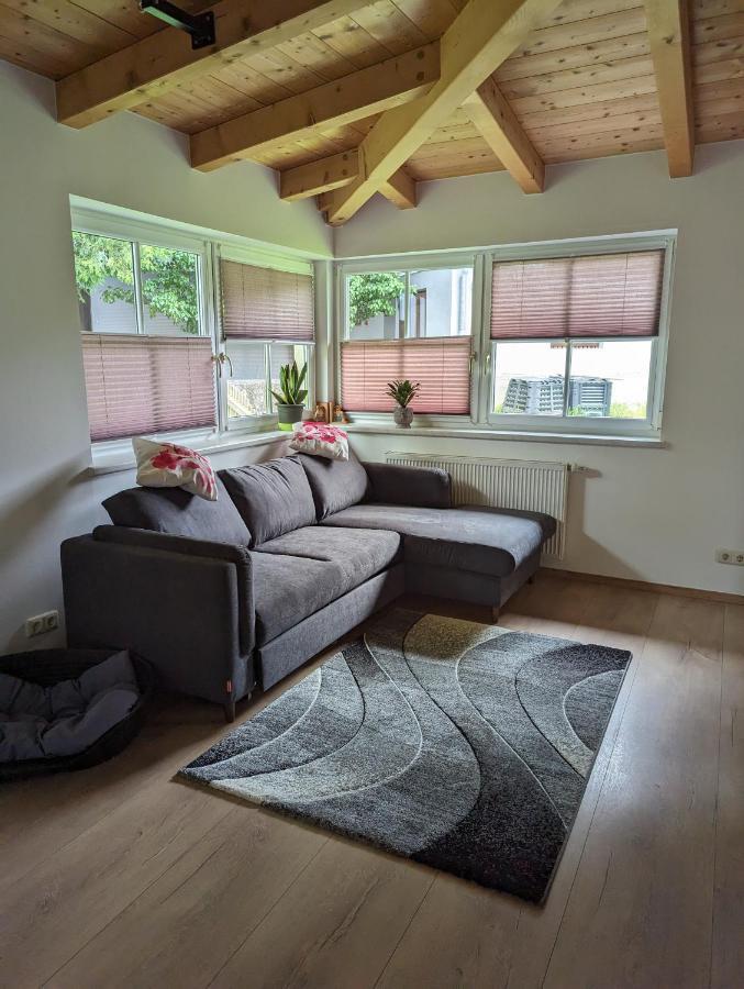 Ferienwohnung Trixi Hollersbach im Pinzgau Esterno foto
